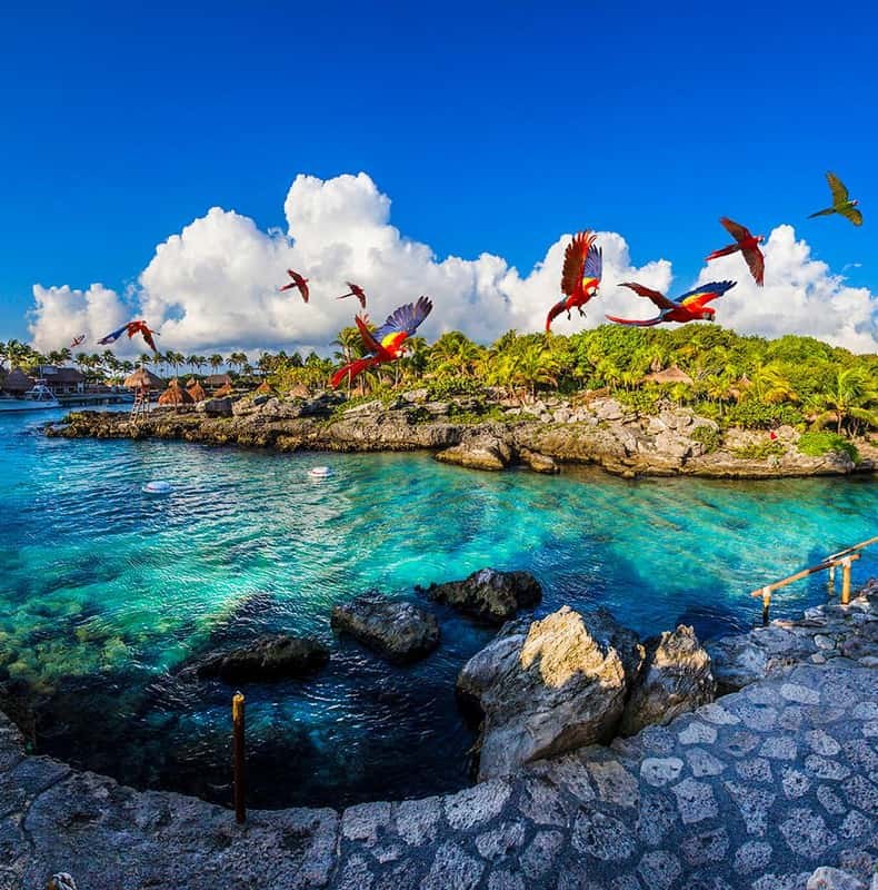 From Playa del Carmen: Xcaret Plus Park, the full experience
