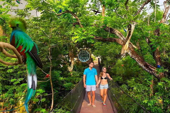 Xcaret Park Plus Tour! Nature, Culture and Nightshow from Cancun